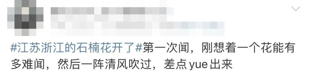 4月的顶流花,却“迷晕”上海人!“植物界污妖王”“又腥又臭”,为何还要种这么多? 4月的顶流花,却“迷晕”上海人!“植物界污妖王”“又腥又臭”,为何还要种这么多?