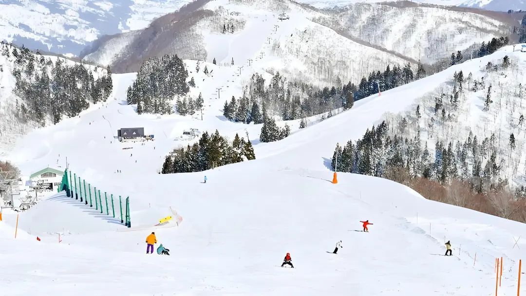 中国男子在日本滑雪失踪1晚，树洞找到遗体，任职香港一公司董事