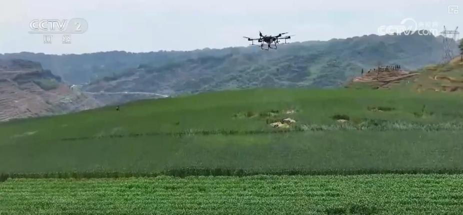 量身精准研发、“遥感巡田+AI”……现代科技为春管提供新“生产力”