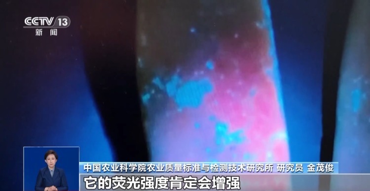 真相来了丨买菜用蓝光笔检测农残？不靠谱