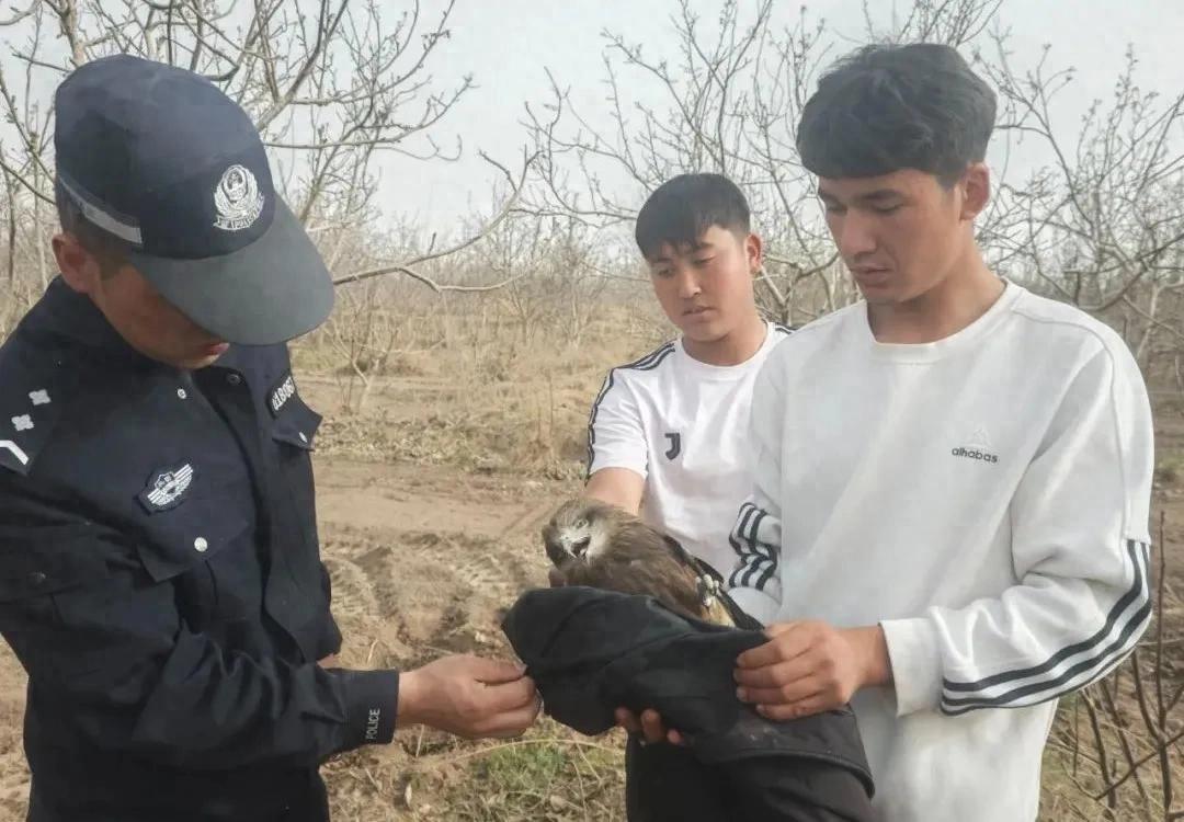 翅膀断了？别怕！派出所有"猛禽病房"