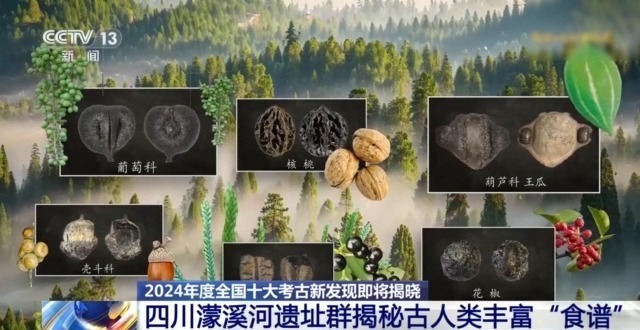 东亚古人类“食谱”有哪些？稻作文明起源密码是啥？答案来了