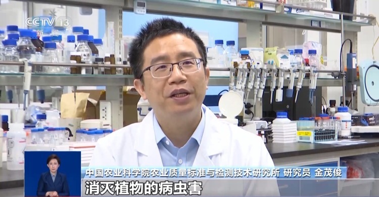 真相来了丨买菜用蓝光笔检测农残？不靠谱