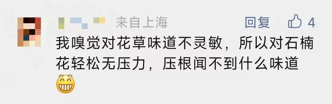4月的顶流花,却“迷晕”上海人!“植物界污妖王”“又腥又臭”,为何还要种这么多? 4月的顶流花,却“迷晕”上海人!“植物界污妖王”“又腥又臭”,为何还要种这么多?