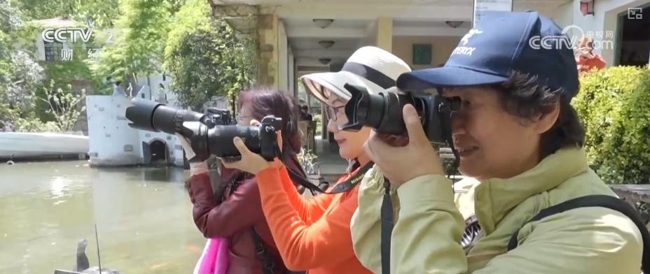 “银发经济”成文旅发展新“引擎” 为乡村振兴注入新活力
