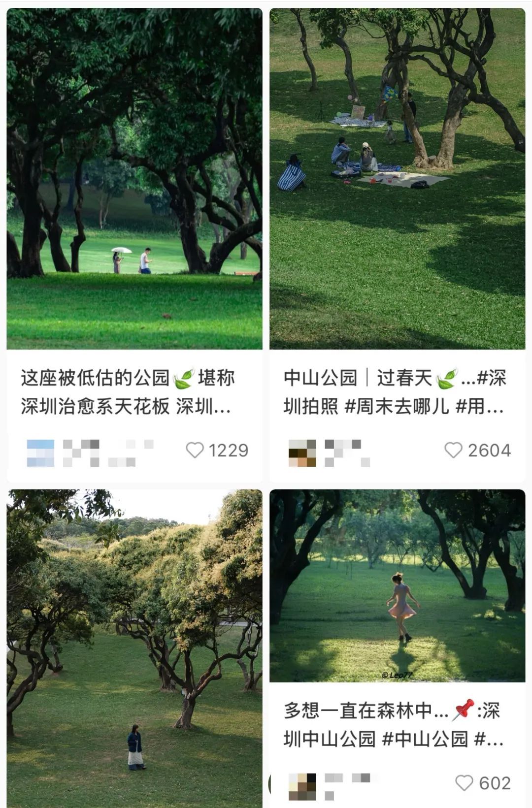“公园爷爷”100岁了！它藏着很多深圳人的记忆→