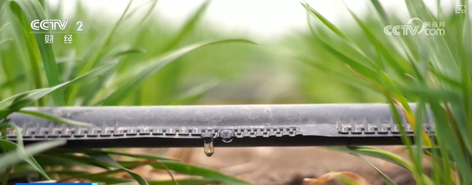 量身精准研发、“遥感巡田+AI”……现代科技为春管提供新“生产力”