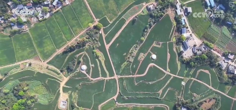 量身精准研发、“遥感巡田+AI”……现代科技为春管提供新“生产力”