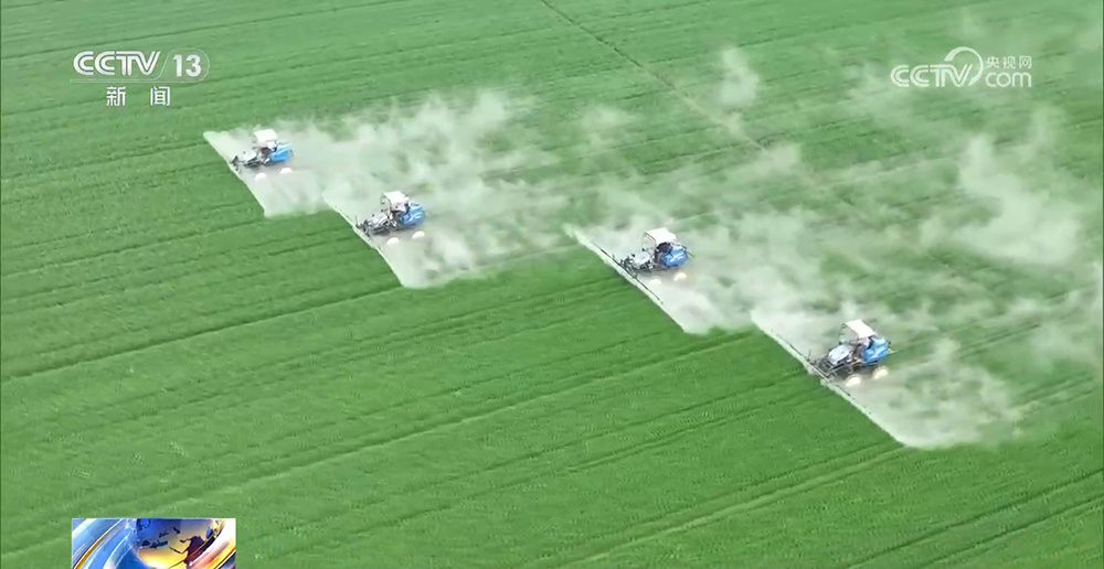 春播春管进展顺利 粮食生产开局良好