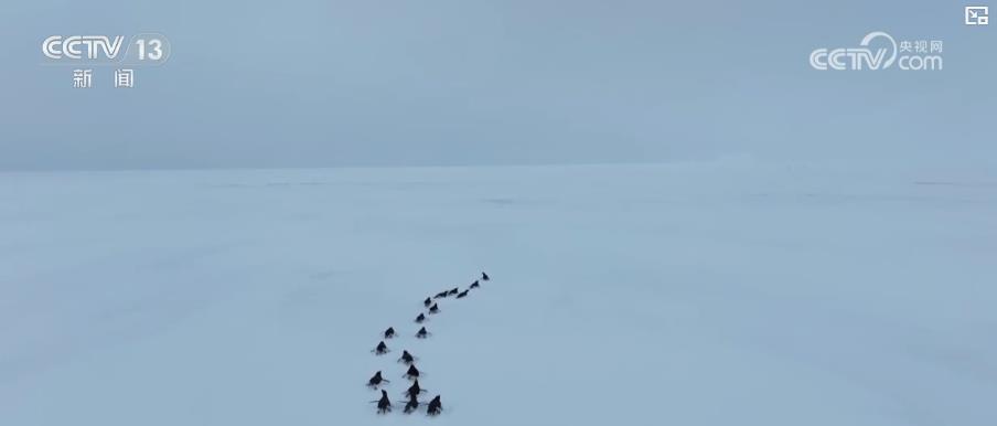 “给地球做CT”!我国南极度夏考察科研成果丰硕 “给地球做CT”!我国南极度夏考察科研成果丰硕