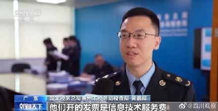 广东一MCN偷税骗补2.26亿