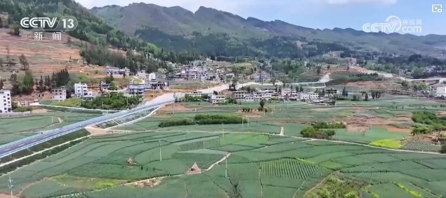 粮食生产开局良好：春播春管进展顺利 冬小麦将迎来大面积收获