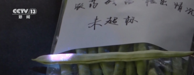 真相来了丨买菜用蓝光笔检测农残？不靠谱
