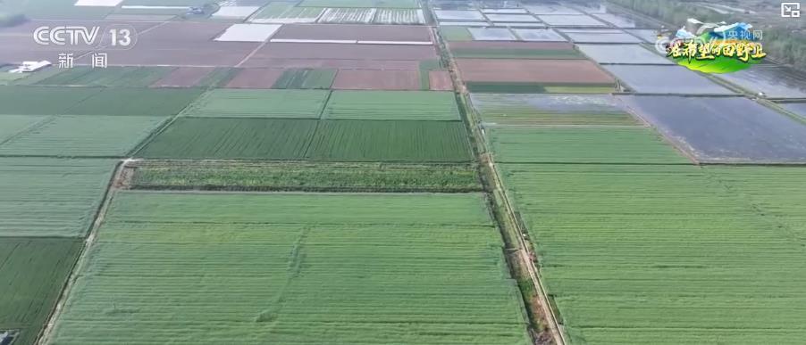 全力推进农业现代化:“小田变大田” 带动村民增收致富 全力推进农业现代化:“小田变大田” 带动村民增收致富