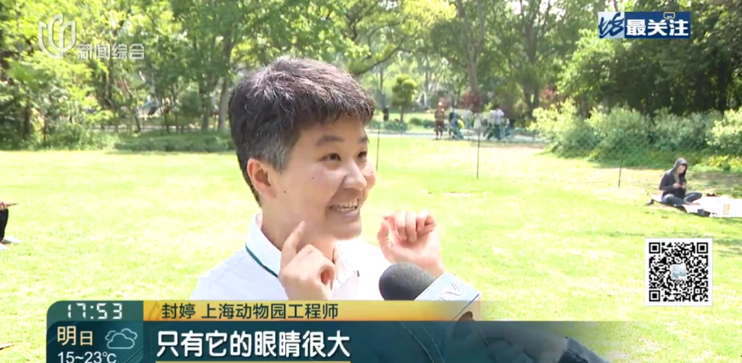 上海发现新物种！体长不到2毫米，就藏在……长什么样？如何被发现的？