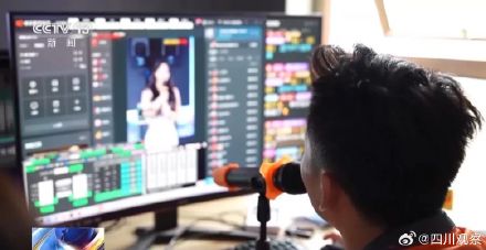 广东一MCN偷税骗补2.26亿
