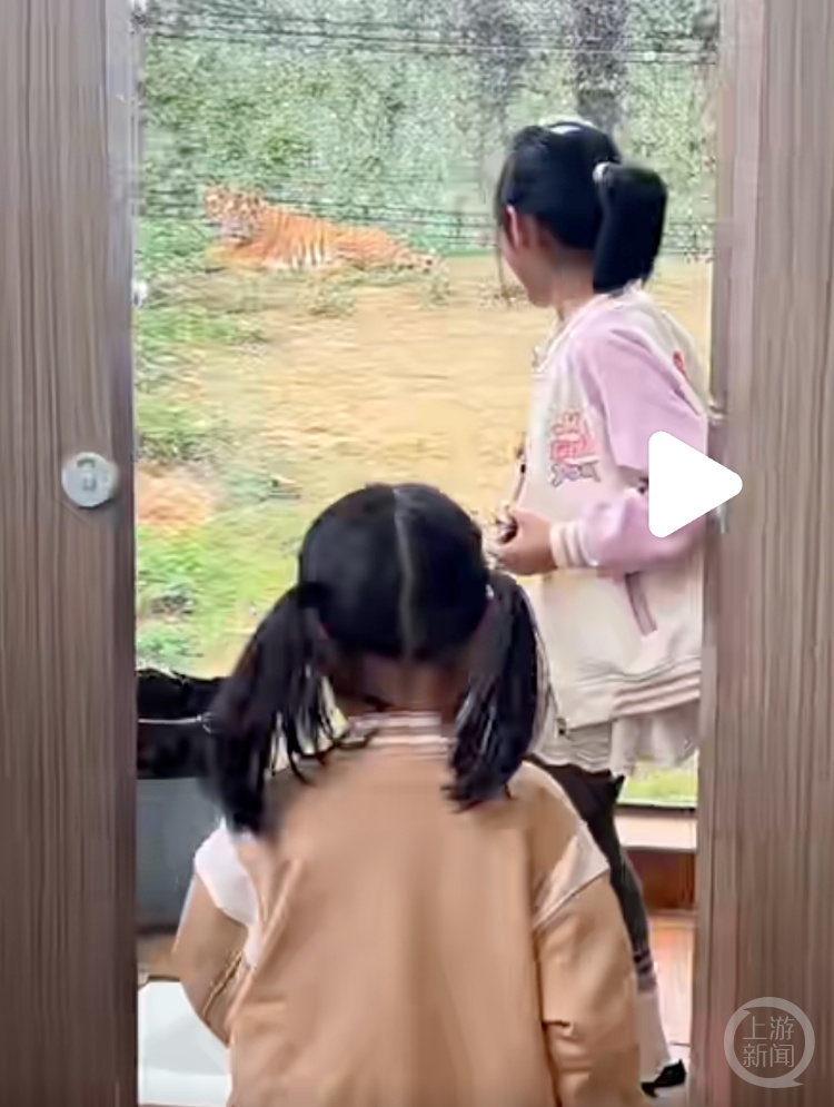 老虎笼旁修建厕所？广西一动物园游客厕所设置落地窗可“如厕观虎”，园方回应