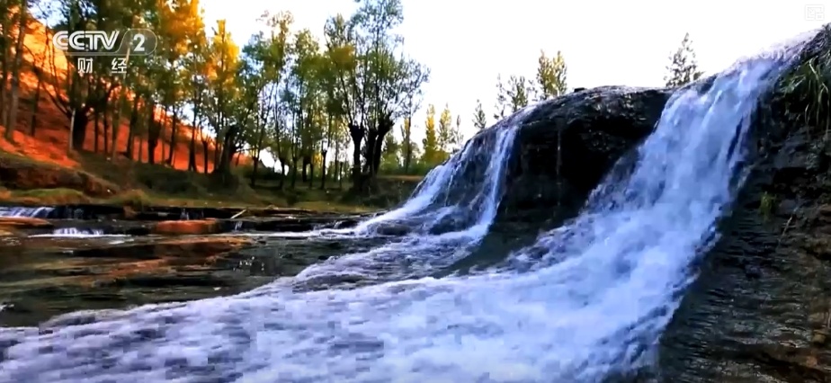 22亿亩、4600万亩、5.5亿吨！“数”说草原增绿扩绿成效显著