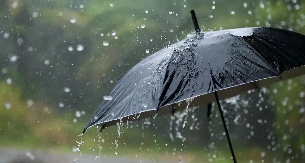 本周还有一场雨！上海今夏气温偏高1℃、高温日偏多，将受2-3个台风影响