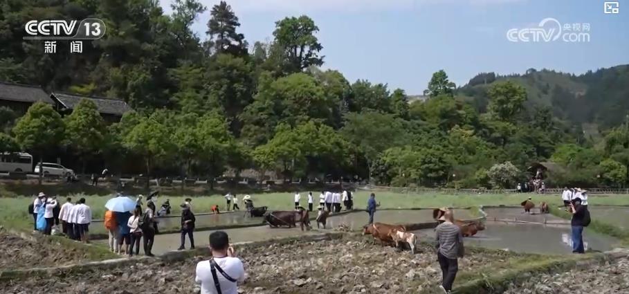 文旅热潮持续升温：惠游举措、服务升级、民俗体验共促消费增长