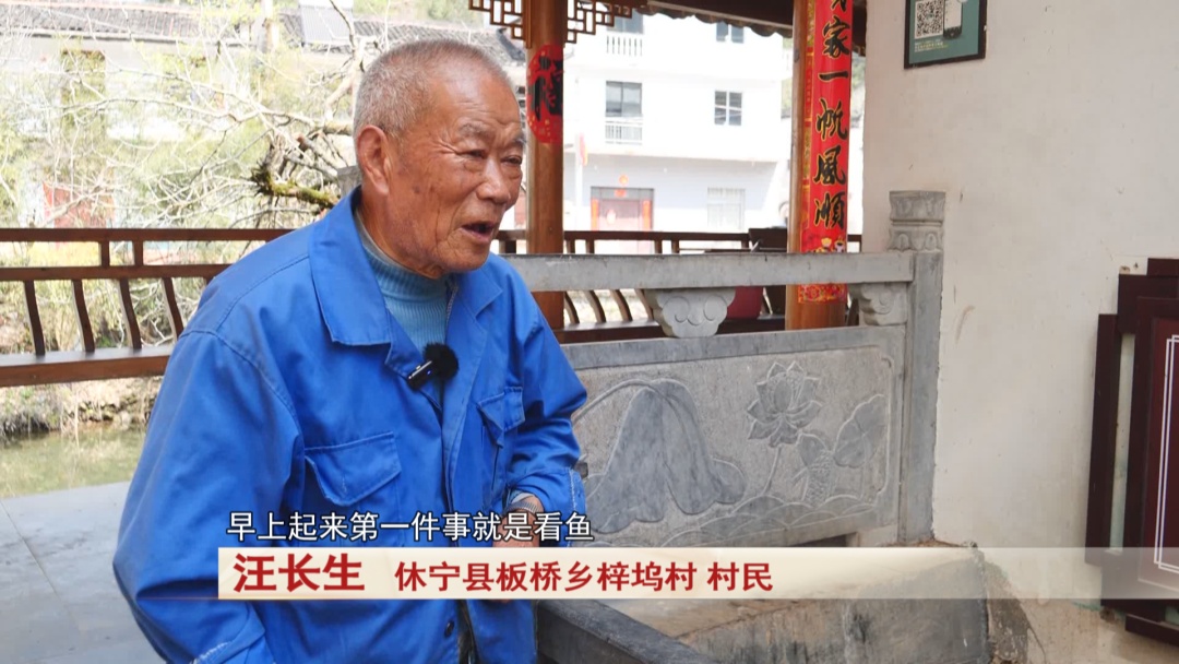 安徽休宁有一条“鱼王”已经55岁！现在依然健康