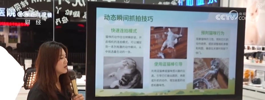 “观鸟经济”点绿成“金” “观鸟热”助推“文旅兴”激活消费多元活力