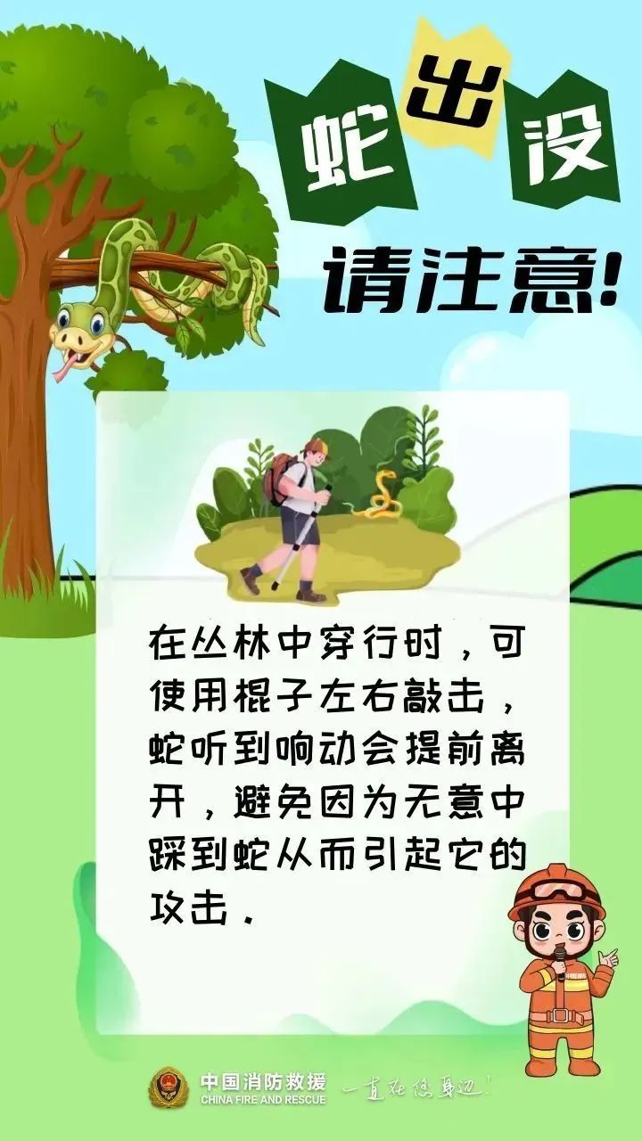 浙江一小区惊现神秘白蛇，消防员出手，背后身份竟然是……
