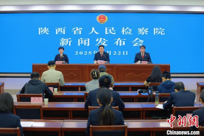 陕西检察机关2024年办理各类知识产权案件549件