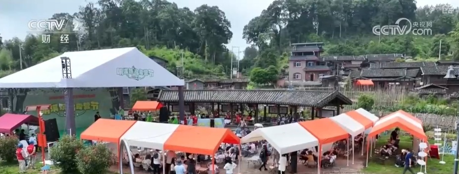 “观鸟经济”点绿成“金” “观鸟热”助推“文旅兴”激活消费多元活力