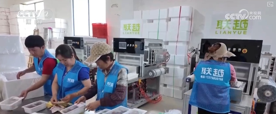 科技锁鲜赋能荔枝抢“鲜”出口 “明星单品”闯出海外“大市场”