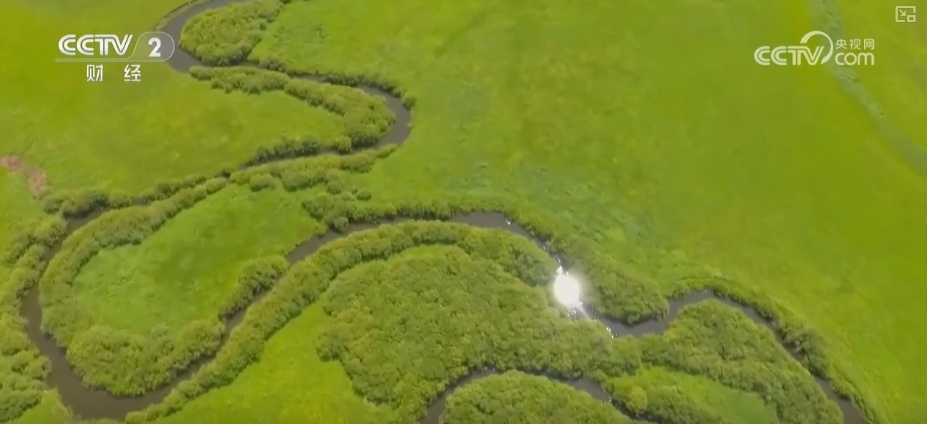 22亿亩、4600万亩、5.5亿吨！“数”说草原增绿扩绿成效显著