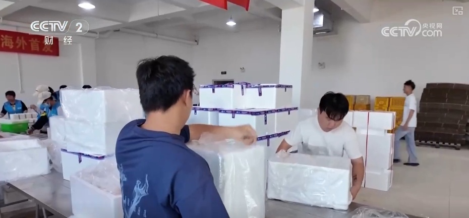 科技锁鲜赋能荔枝抢“鲜”出口 “明星单品”闯出海外“大市场”