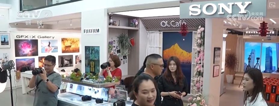 “观鸟经济”点绿成“金” “观鸟热”助推“文旅兴”激活消费多元活力
