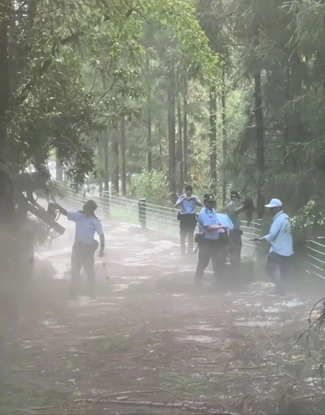 贵州百里杜鹃突遇冰雹，很多花打没了！民警救援时冻得发抖，游客称险失温，景区回应