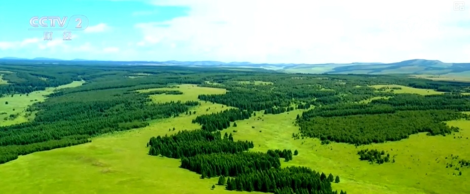 22亿亩、4600万亩、5.5亿吨！“数”说草原增绿扩绿成效显著
