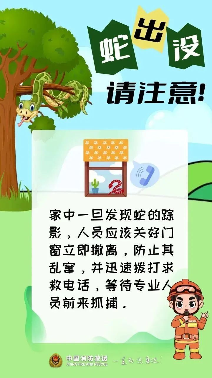 浙江一小区惊现神秘白蛇，消防员出手，背后身份竟然是……