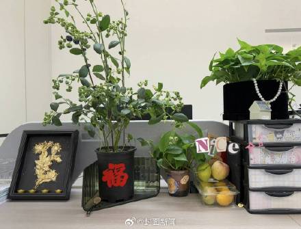 年轻人爱上“养成系”果蔬 有店铺热销超60万件