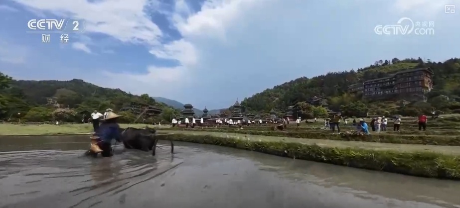 民俗“盛宴”激活“流量密码” 文旅融合“串”出乡村致富路