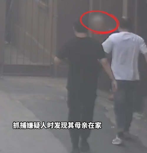 抓捕时遇到嫌疑人母亲，他们选择现场“撒谎”...网友：儿背影渐远，母牵挂未止！