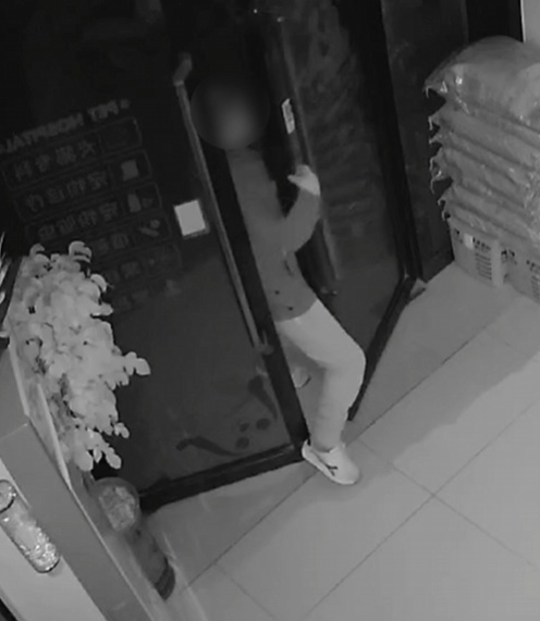 抓捕时遇到嫌疑人母亲，他们选择现场“撒谎”...网友：儿背影渐远，母牵挂未止！