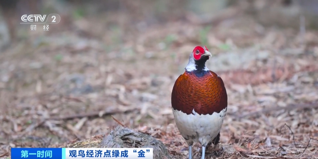 飙涨近150%!突然“起飞”!人气爆表→ 飙涨近150%!突然“起飞”!人气爆表→