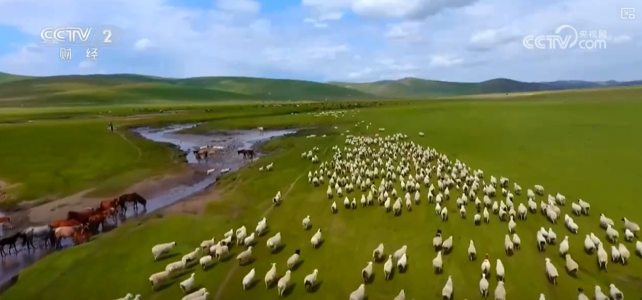 22亿亩、4600万亩、5.5亿吨！“数”说草原增绿扩绿成效显著