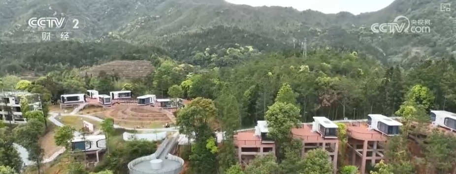 “观鸟经济”点绿成“金” “观鸟热”助推“文旅兴”激活消费多元活力