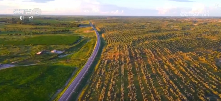 22亿亩、4600万亩、5.5亿吨！“数”说草原增绿扩绿成效显著
