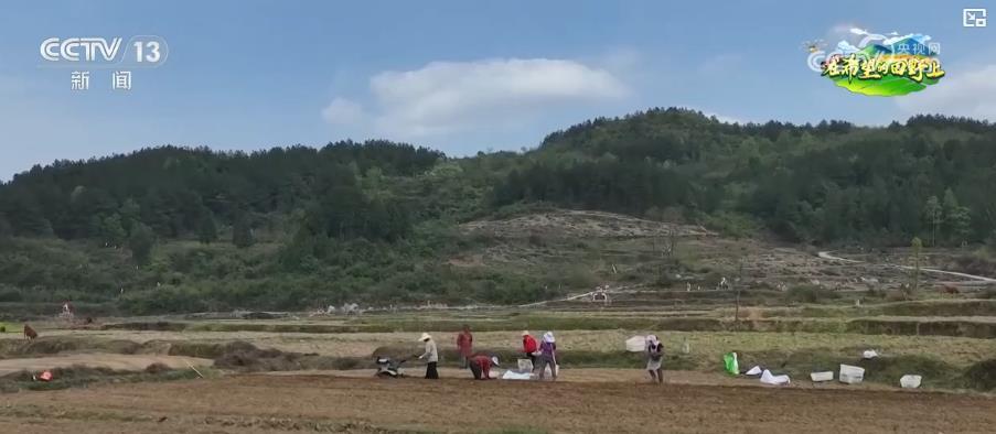 特色产业“多点开花” 绘就致富好“丰”景