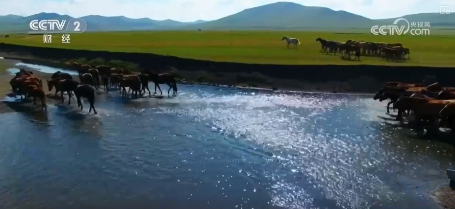 22亿亩、4600万亩、5.5亿吨！“数”说草原增绿扩绿成效显著