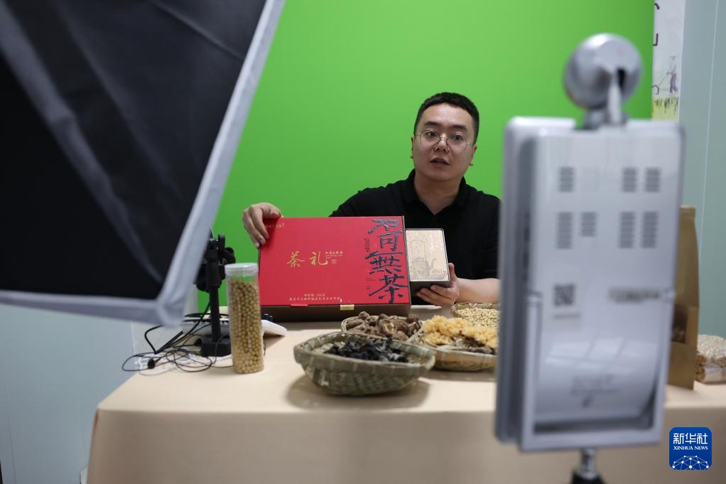 甘肃康县：茶香悠悠