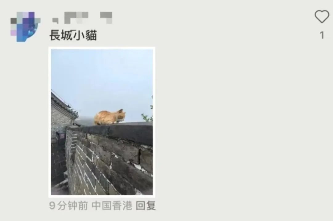 香港网友“冲得更远”了,内地网友教科书式指导 香港网友“冲得更远”了,内地网友教科书式指导