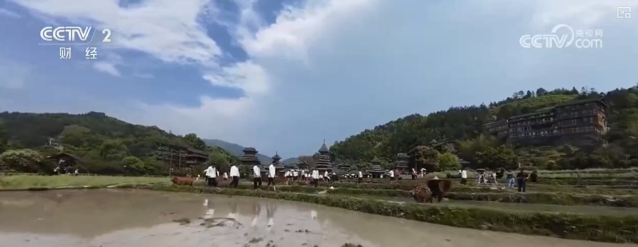 民俗“盛宴”激活“流量密码” 文旅融合“串”出乡村致富路