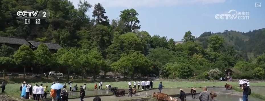 民俗“盛宴”激活“流量密码” 文旅融合“串”出乡村致富路